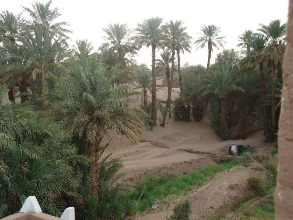 Riad Tagmadarte Ferme D'Hote Zagora Exterior foto