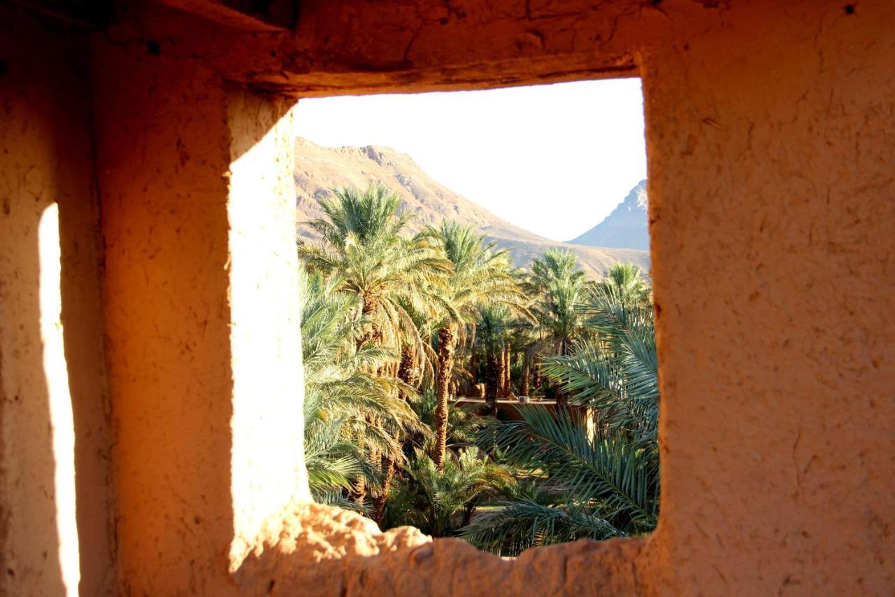 Riad Tagmadarte Ferme D'Hote Zagora Exterior foto