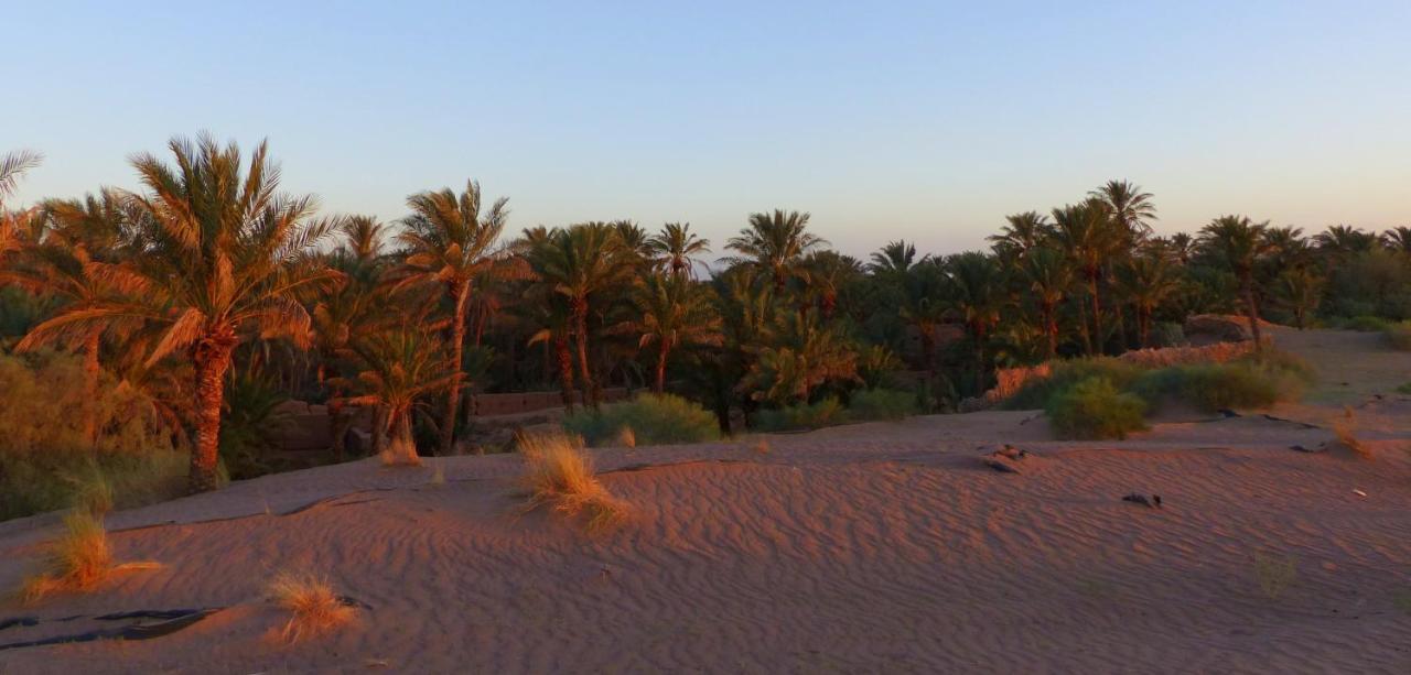 Riad Tagmadarte Ferme D'Hote Zagora Exterior foto
