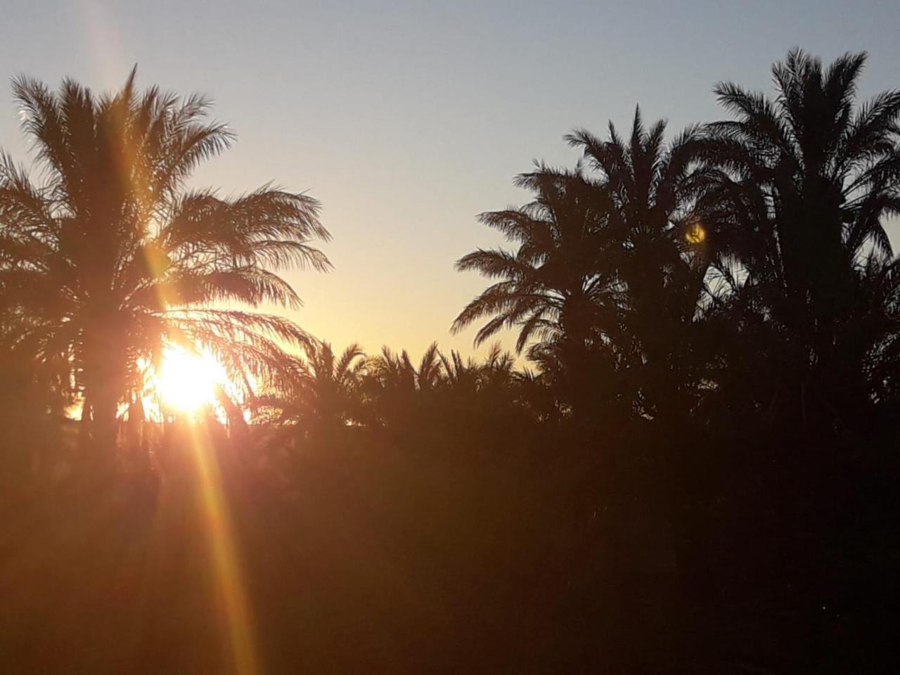 Riad Tagmadarte Ferme D'Hote Zagora Exterior foto